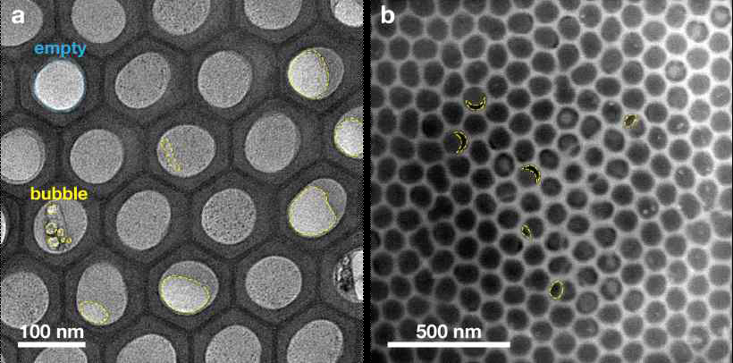 a) TEM and b) STEM images of the fabricated nanochamber array containing liquid samples. Yellow and sky-blue dash lines indicate the boundary of bubbles formed inside the nanochambers and an empty nanobchamer, respectively