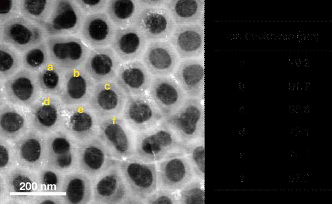 (Left) STEM image of the fabricated samples. Yellow and sky-blue dash lines nanochamber array (with a 100-nm thick AAO membrane) containing a liquid sample in a cryogenic state. (Right) Ice thickness inside of each nanochamber shown in the STEM image