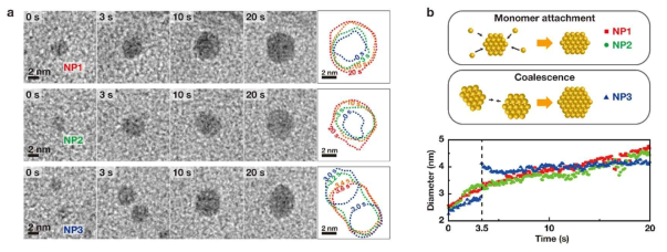 Growth pathway of gold nanoparticles in a nanochamber of the liquid cell. a) TEM images and contour maps of the growing gold nanoparticles. b) Circular diameter trajectories for particles in (a)