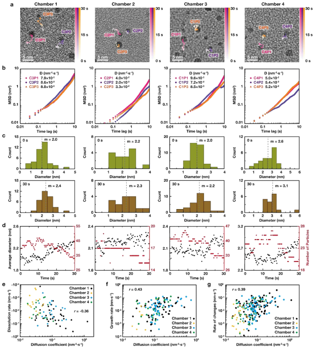 Growth and diffusion of the gold nanoparticles observed in four nanochambers of the liquid cell. a) Diffusion trajectories of three representative nanoparticles from four nanochambers. b) MSD as a function of time for 12 nanoparticles in (a). D is the diffusion coefficient. c) Histogram of the circular diameter of the nanoparticles in the four nanochambers at 0 and 30 s. The mean values are shown as dashed lines. d) Tracked average circular diameter and number of nanoparticles in the four nanochambers with time. e) Dissolution rate, f) growth rate, and g) rate of changes (absolute value of growth and dissolution rates) as a function of diffusion coefficients. r is the Pearson correlation coefficient