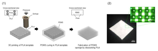 PDMS 스펀지 제작과정(1)과 제작된 PDMS 스펀지(2)