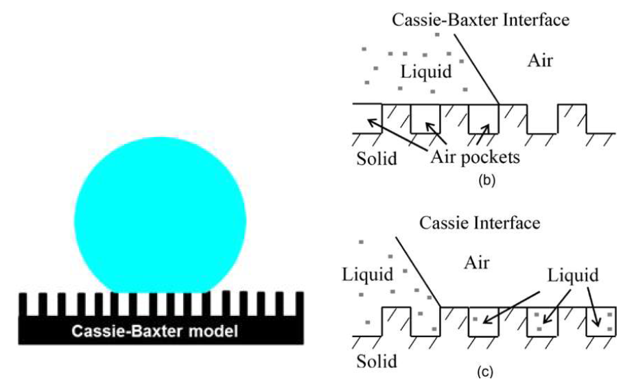 물 접촉각, Cassie-Baxter model