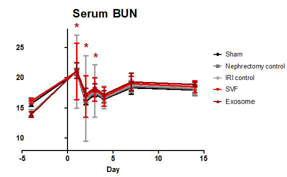 IRI 동물모델에서 SVF, Exosome 투여에 따른 혈액요소질소 (Serum BUN) 변화