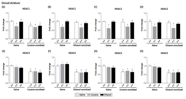 코카인과 알코올 급성, 만성 및 교차 투여 후 배후 선조체에서 HDAC의 mRNA변화