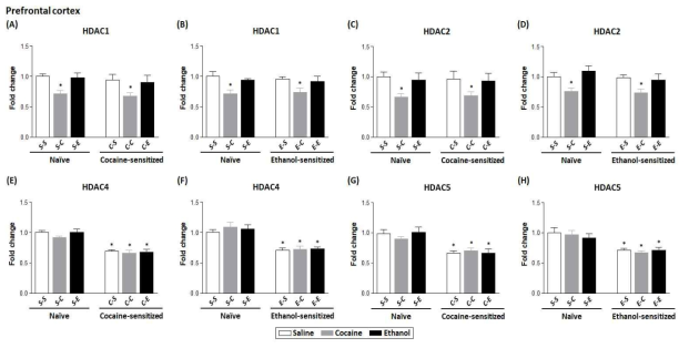 코카인과 알코올 급성, 만성 및 교차 투여 후 전전두엽에서 HDAC의 mRNA변화