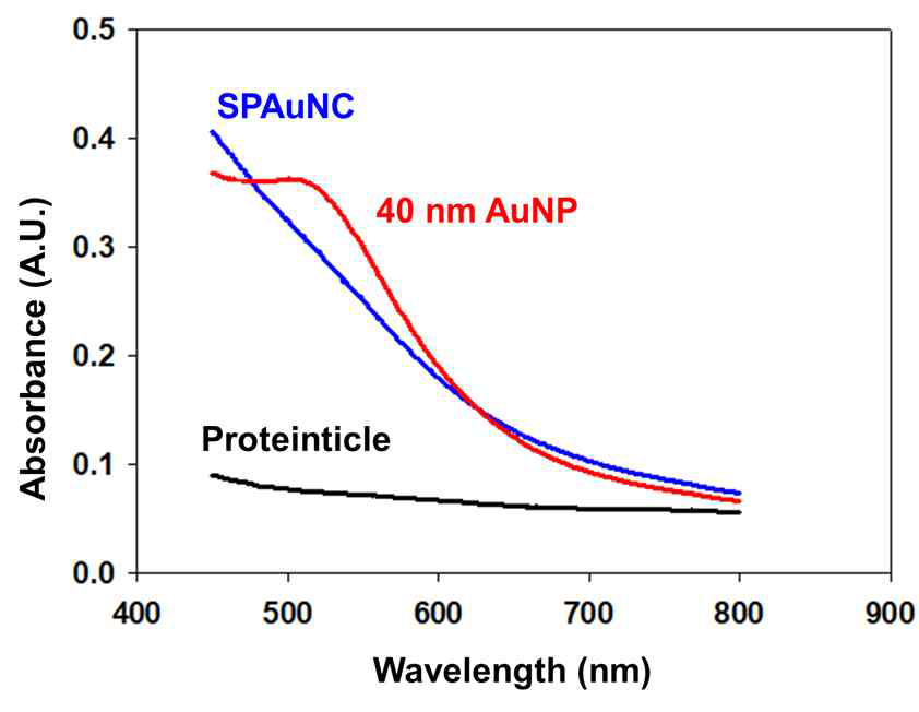 SPAuNC, 단백질 나노입자 및 40 nm 구형 금 나노입자의 파장에 따른 흡광도 분석 그래프