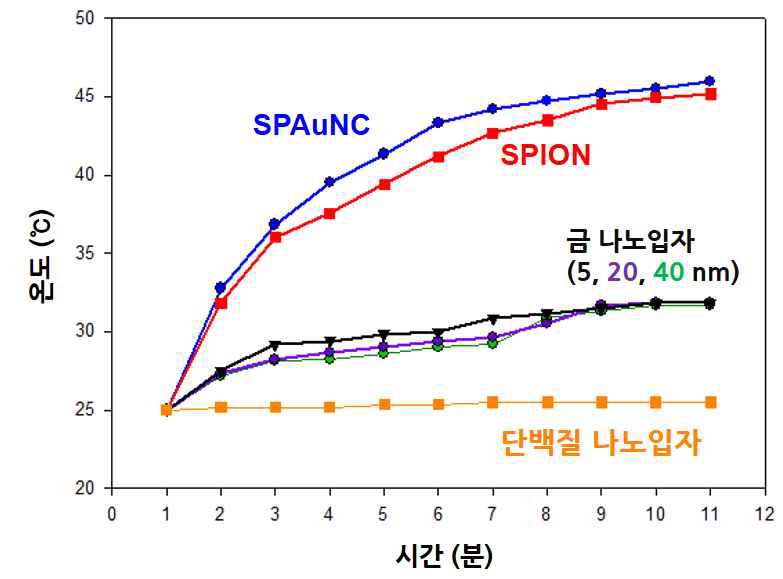 SPAuNC, SPION, 금 나노입자 및 단백질 나노입자의 자기온열 효능 비교