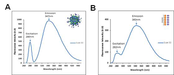 3종의 형광 분석 장비를 이용하여 SPAuNC 주형의 excitation 및 emission 파장을 분석한 결과(A) 및 AMD 주형의 excitation 및 emission 파장을 분석한 결과(B)