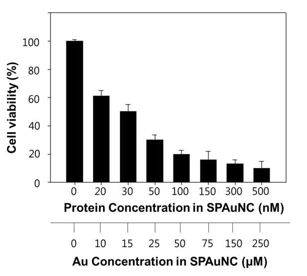 EGFR 과발현 삼중음성유방암 세포주(MDA-MB-468) 배양액에 SPAuNC를 농도별로 투여하고 교류자기장을 처리한 후 CCK-8 분석을 통해 cell viability를 측정한 결과