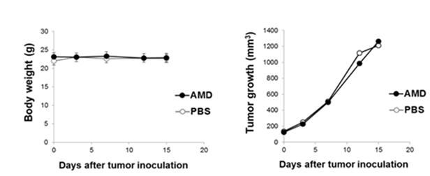 EGFR 과발현 삼중음성유방암(MDA-MB-468)의 피하 암 동물모델(BALb/C nude mouse, 수컷, 암 크기: 300 ± 20 mm3)에 AMD를 정맥 투여한 후 근적외선 레이저를 적용한 경우 및 물질 투여 없이 근적외선 레이저를 적용한 경우에 대해 시간에 따른 암 이미지 및 암 체중과 암의 크기를 정량화한 결과