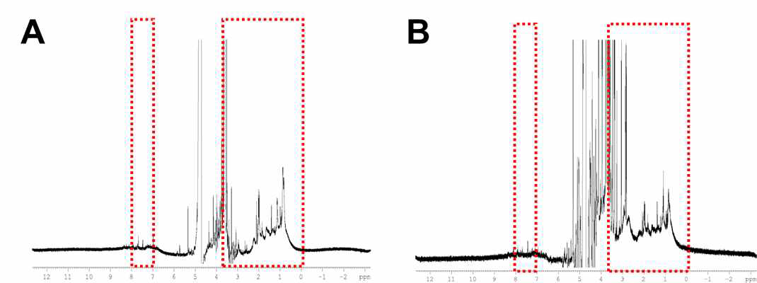 SPAuNC를 구성하는 단백질 나노입자(B형 간염 바이러스 캡시드) 단량체의 1D-NMR spectrum(A) 및 구형의 단백질 나노입자에 대한 1D-NMR spcetrum(B)