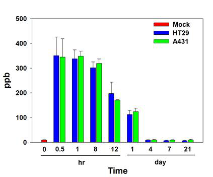 EGFR 과발현 피부 표피암 세포주(A431)와 대장암 세포주(HT29)의 피하 주암 동물 모델(BALb/C nude mouse, 수컷, 암 크기: 300 ± 20 mm3)에 SPAuNC를 정맥주사 한 후, 시간에 따른 혈액에서의 금 농도를 비교 결과