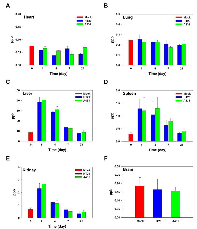 EGFR 과발현 피부 표피암 세포주(A431)와 대장암 세포주(HT29)의 피하 주암 동물 모델(BALb/C nude mouse, 수컷, 암 크기: 300 ± 20 mm3)에 SPAuNC를 정맥주사 한 후 시간에 따른 심장(Heart, A), 폐(Lung, B), 간(Liver, C), 비장(Spleen, D), 신장 (Kideny, E), 뇌(Brain, F)에서의 금 농도 비교 결과