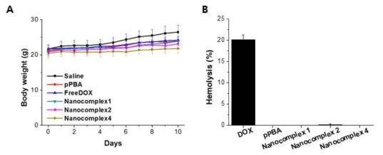 동물 실험 모델에서의 생체적합성 실험. A) 몸무게 변화를 통한 약물 전달체의 독성 측정. B) 적혈구 용혈량 측정을 통한 약물 전달체의 생체 적합성 측정