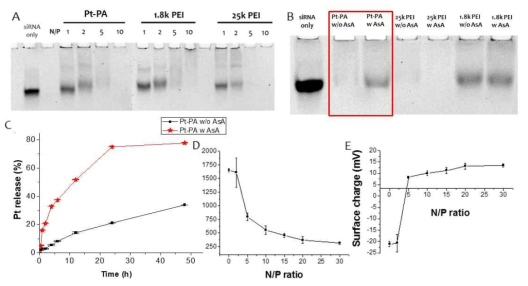 siLUC와 합성된 Pt-PA, 1.8k PEI, 25k PEI와의 N/P ratio 에 따른 A) 나노구조체 형성의 확인. B) 환원적 환경에서의 나노구조체 해체의 확인. C) 환원적 환경에서와 그렇지 않은 환경에서의 약물 방출 거동. D) N/P ration에 따른 나노구조체의 DLS 상에서의 크기 변화. E) N/P ratio에 따른 나노구조체의 표면전하 측정