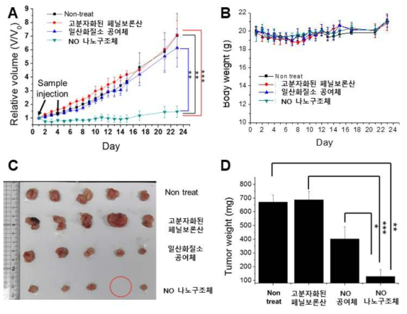 일산화 질소로 동물 실험에서의 항암효과 확인. A) 암 조직의 크기 변화 관찰. B) 약물이 투입된 쥐의 무게를 통한 생체 적합성 확인. C) 관찰 종료 후 암을 수술로 제거하여 확인한 크기 비교 결과. D) 수술로 제거한 암의 무게 비교 결과