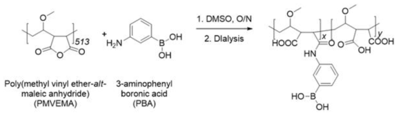 Poly(maleic anhydride) 기반의 고분자화된 PBA를 합성하는 전략