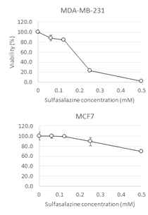 sulfasalazine 감수성