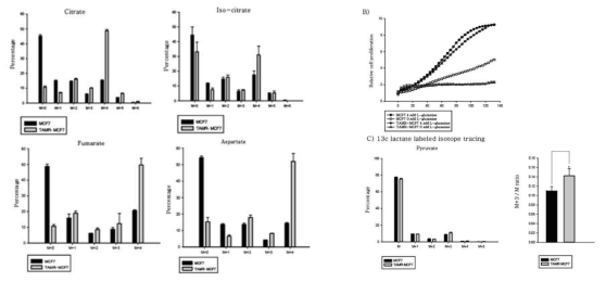 Glutamine 고갈 시의 TAMR-MCF-7 세포 성장의 억제 및 lactate uptake의 증가