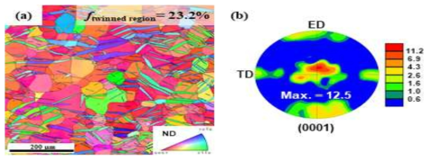 압출 방향으로 2% 소성 변형된 pure Mg 압출재의 EBSD 결과: (a) inverse pole figure map과 (b) (0001) pole figure
