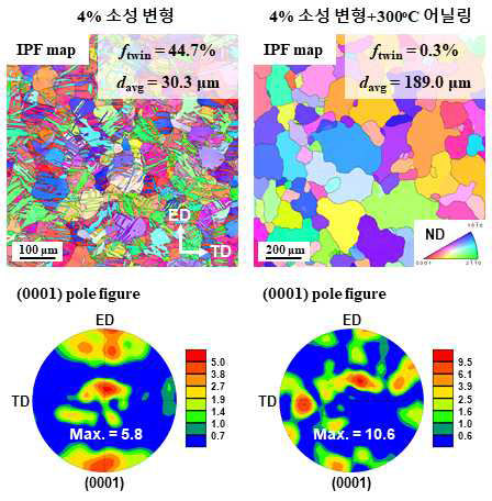 ED로의 4% 소성 변형된 샘플과 소성 변형 후 300 ℃의 어닐링 열처리된 샘플의 inverse pole figure (IPF) map과 (0001) pole figure