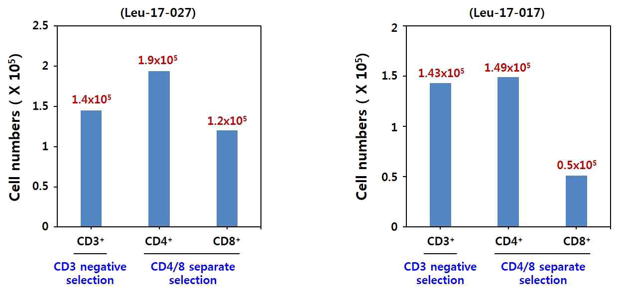 두 가지 분리법으로 획득 가능한 CD4+/CD8+ T 세포 수 비교