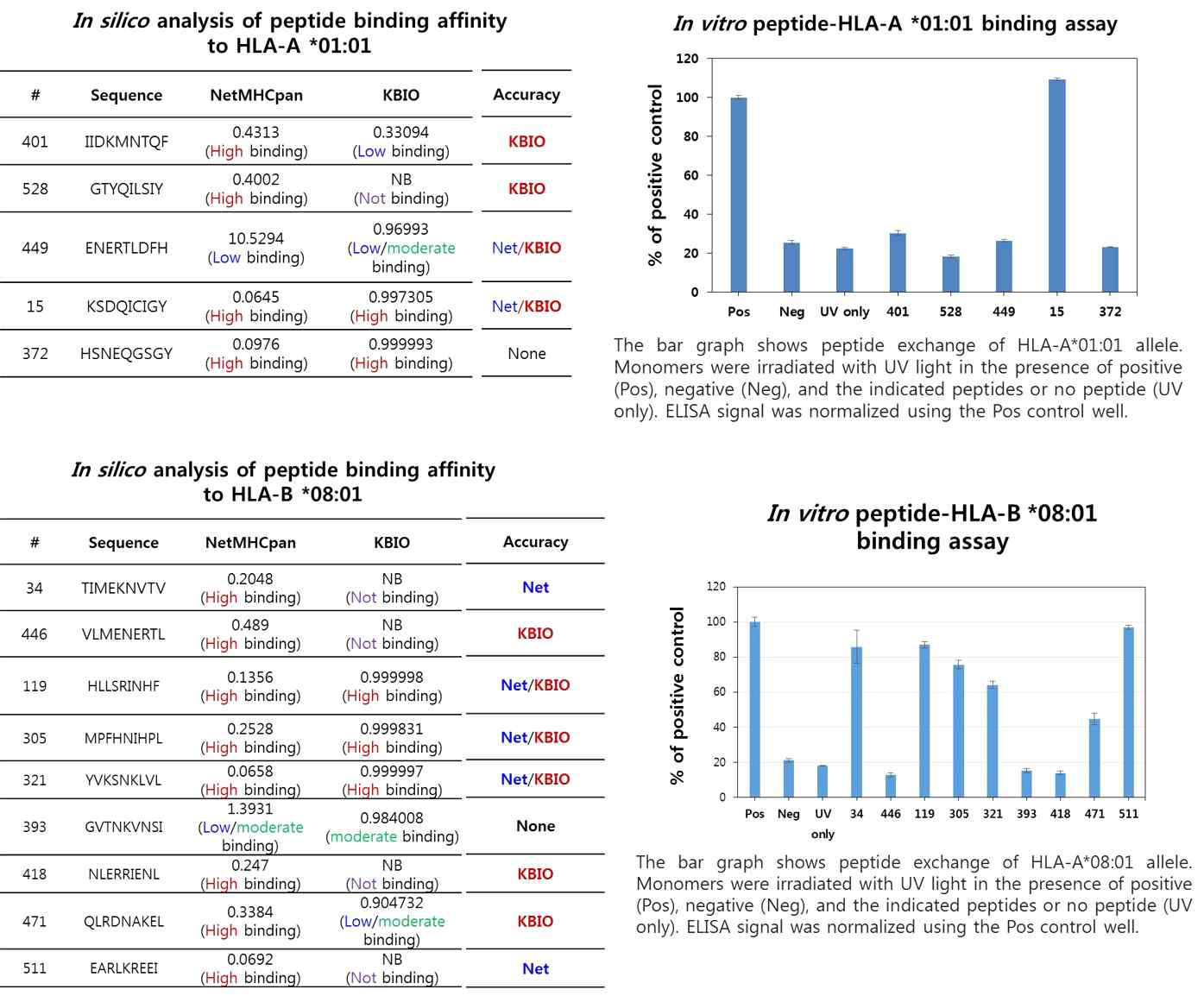 In vitro peptide-HLA-A *01:01, *08:01 결합력 분석 결과