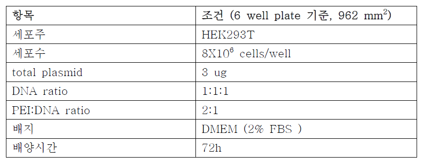 Adherent HEK293T 세포주를 통한 최적의 AAV2 생산 조건