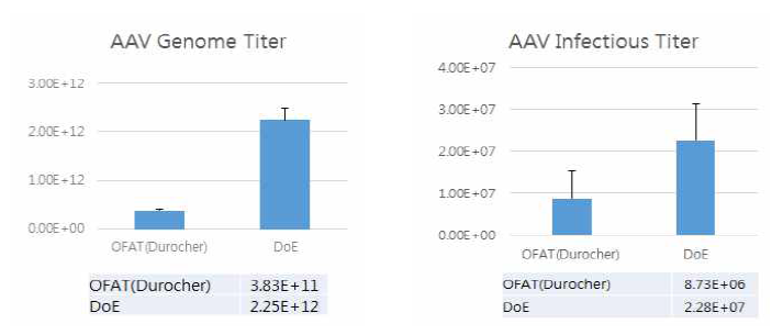 OFAT와 DoE 방식에서의 AAV 역가 비교 분석