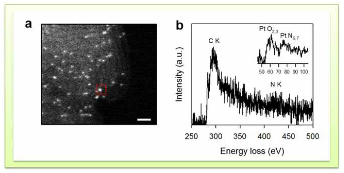 a) Pt1/CNT 촉매의 HAADF-STEM 이미지, b) 전자 에너지 손실 분광법 스펙트럼