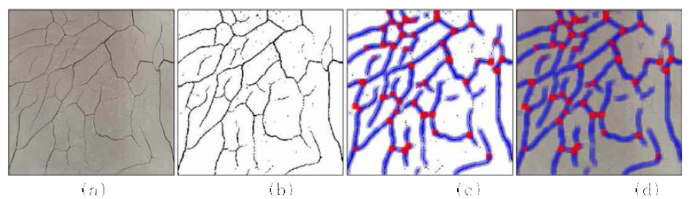 딥러닝을 이용한 시멘트 기반 소재의 균열 분석 결과 : (a) 균열을 포함한 원이미지, (b) Binary Format으로 변환된 Image, (c) Sliding Window를 이용한 CNN 기반 Node/Edge 탐지 결과, & (d) 원이미지에 균열 탄지 결과를 반영한 최종 결과 이미지