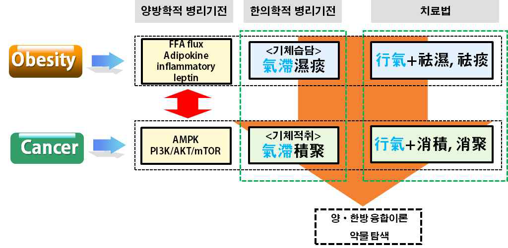 비만-암 동반질환에 대한 양·한방융합이론 구축 및 공통기전 조절 후보물질 탐색모식도