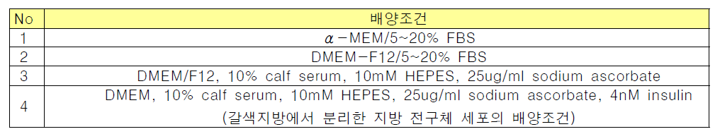 최적의 배양을 위한 배양 조건의 확립