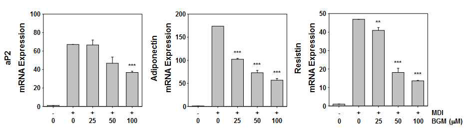 베르가모틴이 지방세포에서 분비되는 aP2, Adiponectin, Resistin의 mRNA 발현에 미치는 영향