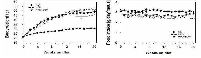 베르가모틴이 고지방식이로 유도한 비만 마우스의 체중과 식이섭취량에 미치는 영향
