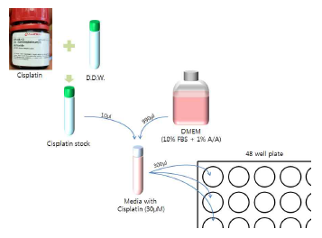 Cisplatin 제조 방법