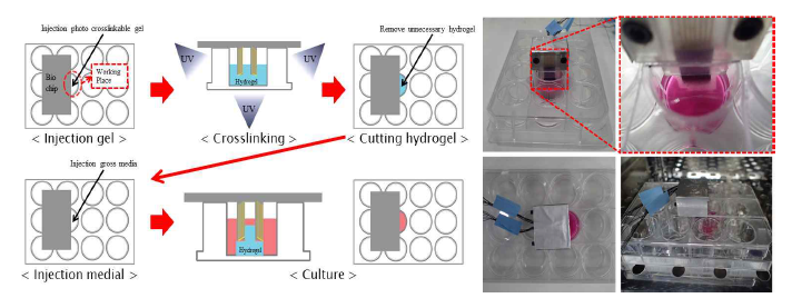 효율성이 향상된 3D cancer on a chip 모식도 & 실험 방법