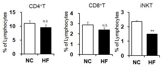 1주 고지방식이에 의한 지방조직 T cell 변화