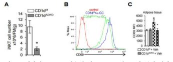 지방세포 CD1d 결손에 따른 iNKT 세포군의 특성 변화