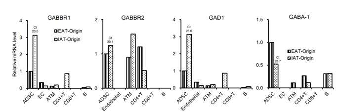 지방조직 구성세포군에서 GABA 관련 유전자 발현 비교