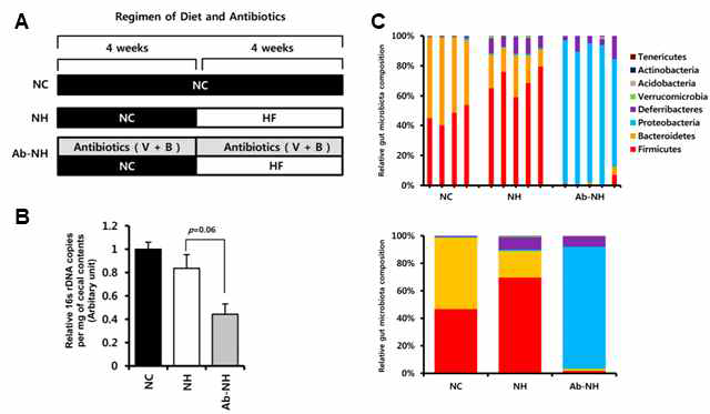 항생제 복용에 의한 생쥐의 장내미생물 변화 분석