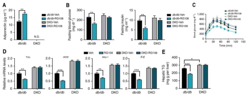 아디포넥틴에 의해 매개되는 DNMT 억제제의 체내 당대사 및 지방대사 개선 효과