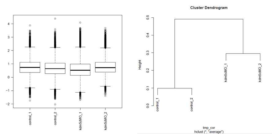 Box plot 결과 그래프