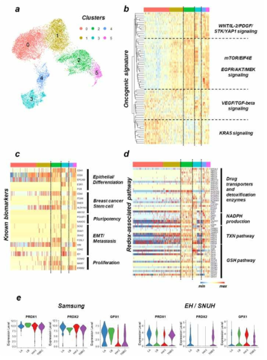 종양 세포의 아형 특이적 신호전달 경로 분석 및 암줄기 세포 아형 발굴 (a) 종양 세포군의 UMAP 상 클러스터링 패턴 (b~d) Heatmap, 종양악성도 관련 신호 전달 경로의 활성도-(b), 유방암 특이적 예후 관련 바이오마커-(c), Redox, 항산화 관련 인자-(d) (e) redox/antioxidant의 중추인자에 대한 발현패턴의 violin plot (사전 연구 데이터와 비교검증 - 참고)