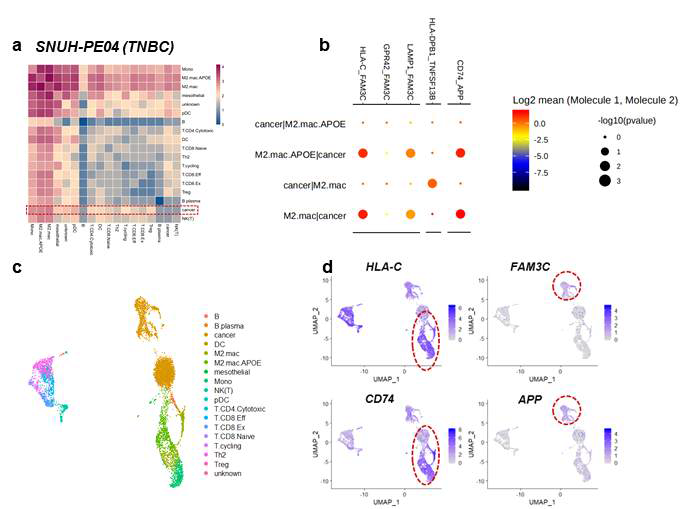 세포 간 신호 교류시 전달 물질 분석 (a) SNUH-PE04번 샘플의 세포간 신호전달 빈도수에 대한 heatmap, (b) 가장 빈번하게 신호교류가 이루어진 대식세포와 암세포 사이에서 통계적으로 유의한 교류 물질 (c) SNUH-PE04 샘플의 세포 유형이 표지된 UMAP (d) (b)에서 표지된 교류물질들의 발현 패턴의 UMAP상 표지
