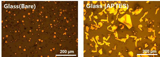 다양한 표면 처리 (무처리, 친수성 처리)에 따른 nanosheet 형태 제어