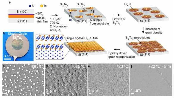 (a) 대면적 무결정립계 Si2Te3 박막의 epitaxy-driven spontaneous reorganization 방법의 모식도. (b) 2인치 웨이퍼 크기의 무결정립계 Si2Te3 박막의 사진. (c-f) seed 결정 생성, 작은 결정립 및 균일한 박막으로의 성장 거동을 나타내는 FESEM 이미지