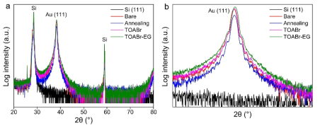 (a) Si(111) 기판과 증착 후, TOABr, TOABr/EG 처리 후의 XRD. (b) Au (111) 픽의 확대 사진