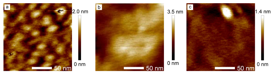 (a) Au를 증착한 후, (b) TOABr 열처리 후, (c) TOABr/EG 열처리 후의 AFM Height 이미지