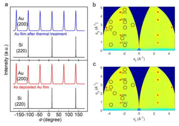 (a) Si (111) 기판 위에 열처리 전과 열처리 후의 100 nm Au 막에 대한 평면 내 (220) 반사 및 Si의 반사 (200)의 방위각 ϕ- 스캔. (b, c) Si (111) 기판 상에 열처리 전의 Au 막과 열처리된 Au 막에 대한 GIWAXS 맵. Si에 해당하는 피크는 검은 색 원으로 표시됨. 증착된 Au (111) 필름의 결정면은 날카롭고 강한 반사점으로 나타남. 가장 두드러진 Au 피크의 Miller 지수는 괄호 안에 검은 색 숫자로 표시됨